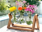 Plant Terrarium with Wooden Stand, Air Planter Bulb Glass Vase Metal Swivel Holder Retro Tabletop for Hydroponics Home Garden Office Decoration - 3 Bulb Vase