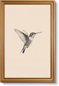 Vintage Gold Framed Wall Art, Sketch Birds Canvas Painting, Cute but Exquisite Wall Decor, No Glass No Glare, Suitable for Bedside Tables, Foyer, Bookshelves,【Hummingbird】-10L x 8W