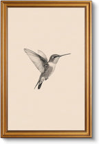 Vintage Gold Framed Wall Art, Sketch Birds Canvas Painting, Cute but Exquisite Wall Decor, No Glass No Glare, Suitable for Bedside Tables, Foyer, Bookshelves,【Hummingbird】-10L x 8W