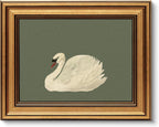 Vintage Gold Framed Wall Art, Sketch Birds Canvas Painting, Cute but Exquisite Wall Decor, No Glass No Glare, Suitable for Bedside Tables, Foyer, Bookshelves,【Hummingbird】-10L x 8W